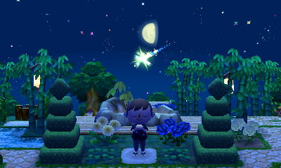 Wishing on a shooting star between two topiaries in Agima.