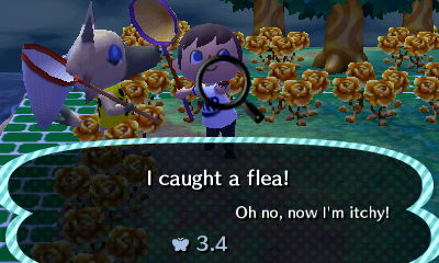 I caught a flea! Oh no, now I'm itchy!