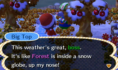 Big Top: This weather's great, boss. It's like Forest is inside a snow globe, up my nose!