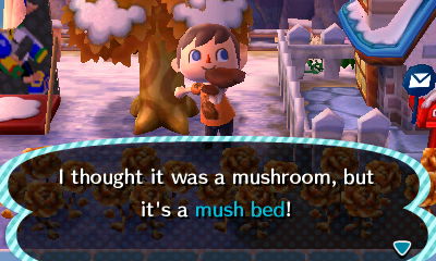 I thought it was a mushroom, but it's a mush bed!