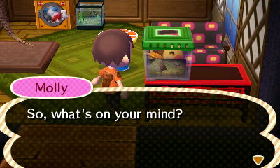 Molly: So, what's on your mind?