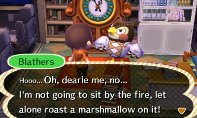 Blathers: Hooo... Oh, dearie me, no... I'm not going to sit by the fire, let alone roast a marshmallow on it!