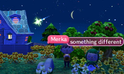 Wishing on a shooting star in Animal Crossing: New Leaf.