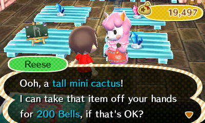 Reese: Ooh, a tall mini cactus! I can take that item off your hands for 200 bells, if that's OK?