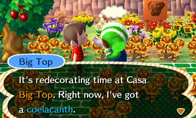 Big Top: It's redecorating time at Casa Big Top. Right now, I've got a coelacanth.