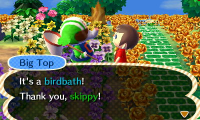 Big Top: It's a birdbath! Thank you, skippy!