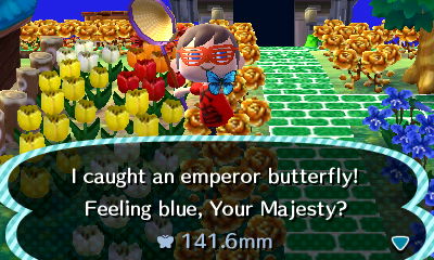 I caught an emperor butterfly! Feeling blue, Your Majesty?