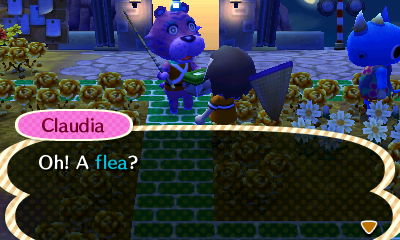 Claudia: Oh! A flea?