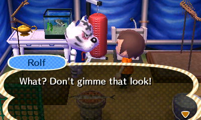 Rolf: What? Don't gimme that look!