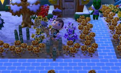 Jeff digs up the bamboo in his Animal Crossing: New Leaf town of Forest.