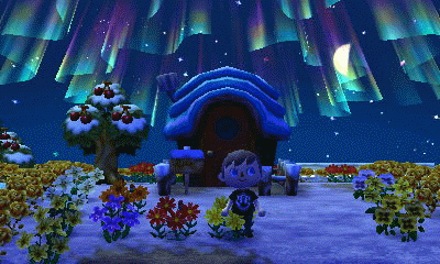 Animated GIF of the northern lights from Hornsby's house in Forest.
