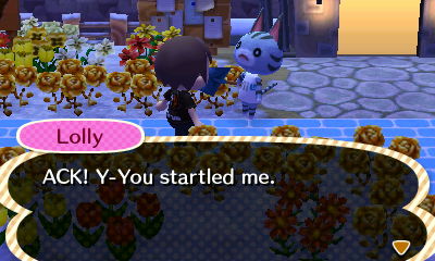 Lolly: ACK! Y-You startled me.