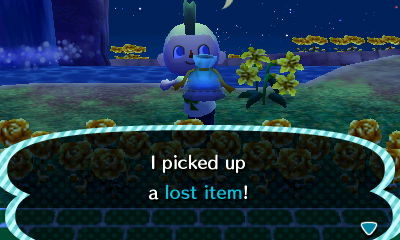 I picked up a lost item!