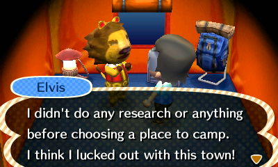 Elvis: I didn't do any research or anything before choosing a place to camp. I think I lucked out with this town!