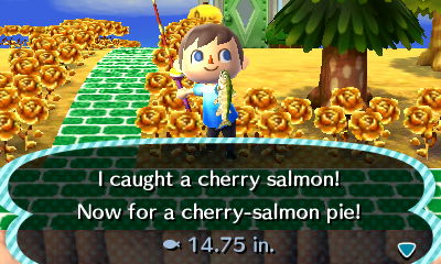 I caught a cherry salmon! Now for a cherry-salmon pie!