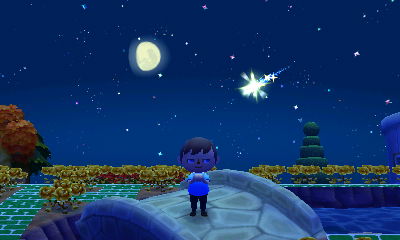 Jeff wishes on a shooting star in Animal Crossing: New Leaf.
