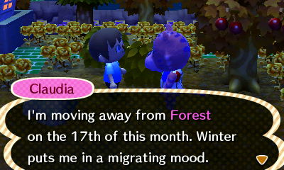Claudia: I'm moving away from Forest on the 17th of this month. Winter puts me in a migrating mood.