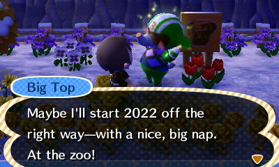 Big Top: Maybe I'll start 2022 off the right way--with a nice, big nap. At the zoo!