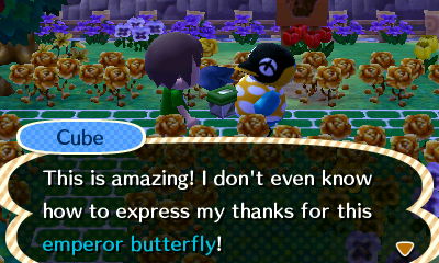 Cube: This is amazing! I don't even know how to express my thanks for this emperor butterfly!