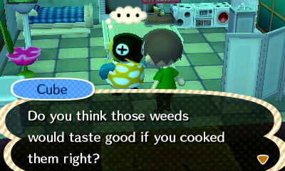 Cube: Do you think those weeds would taste good if you cooked them right?