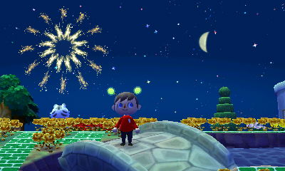 Watching fireworks in Forest.