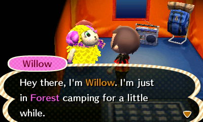 Willow: Hey there, I'm Willow. I'm just in Forest camping for a little while.