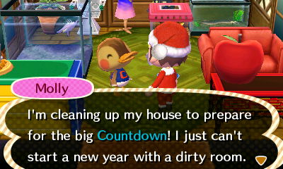 Molly: I'm cleaning up my house to prepare for the big Countdown! I just can't start a new year with a dirty room.