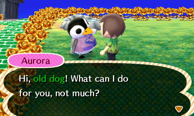 Aurora: Hi, old dog! What can I do for you, not much?