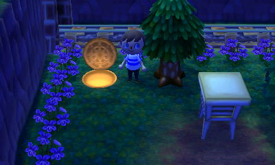 An open manhole marking the entrance to the Reset Center.