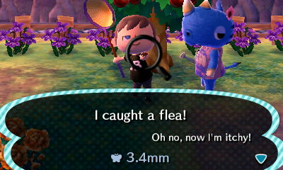 I caught a flea! Oh no, now I'm itchy! 3.4mm