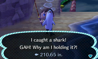 I caught a shark! GAH! Why am I holding it?! 210.65 in.