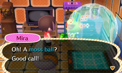Mira: Oh! A moss ball? Good call!