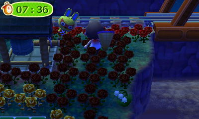 Mira tries to hid behind the zen bell during a game of hide-and-seek.