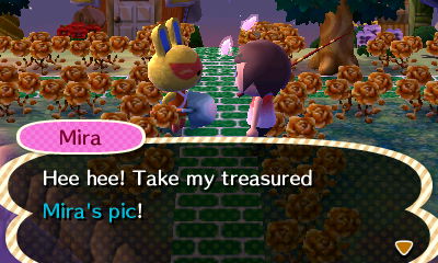Mira: Hee hee! Take my treasured Mira's pic!