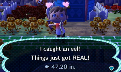 I caught an eel! Things just got REAL! 47.20 in.