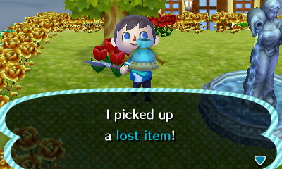 I picked up a lost item!