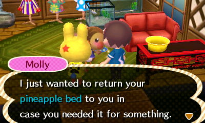 Molly: I just wanted to return your pineapple bed to you in case you needed it for something.