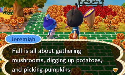 Jeremiah: Fall is all about gathering mushrooms, digging up potatoes, and picking pumpkins.