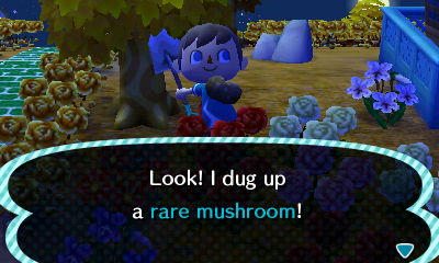 Look! I dug up a rare mushroom!
