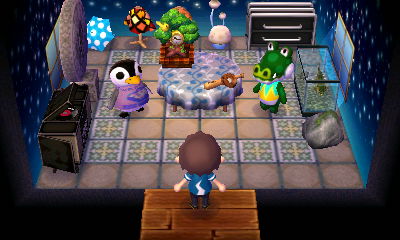 Aurora and Boots looking at me as I entered Aurora's house.