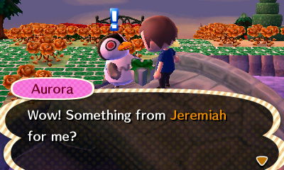 Aurora: Wow! Something from Jeremiah for me?