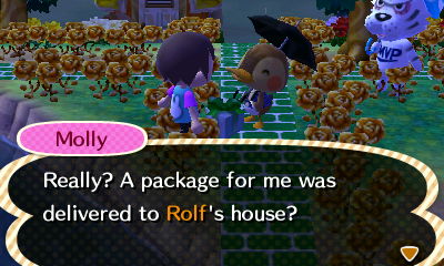 Molly: Really? A package for me was delivered to Rolf's house?