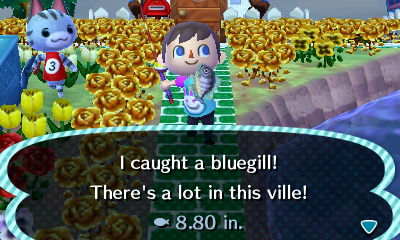 I caught a bluegill! There's a lot in this ville! 8.80 in.