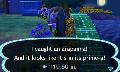I caught an arapaima! And it looks like it's in its prime-a! 119.50 in.