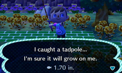 I caught a tadpole... I'm sure it will grow on me. 1.70 in.