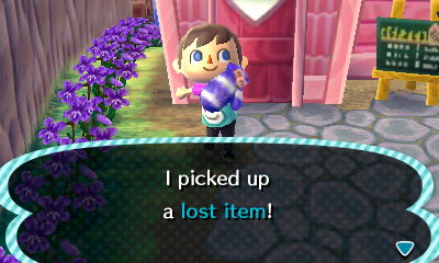 I picked up a lost item!