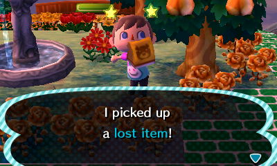 I picked up a lost item!