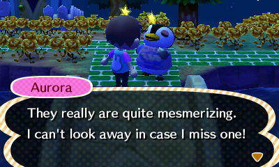 Aurora: They really are quite mesmerizing. I can't look away in case I miss one!