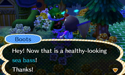 Boots: Hey! Now that is a healthy-looking sea bass! Thanks!