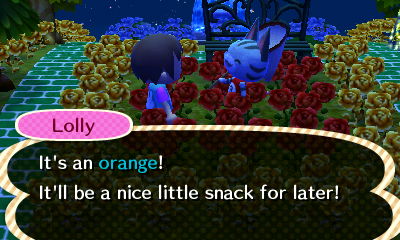 Lolly: It's an orange! It'll be a nice little snack for later!